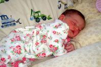 Avalon Elizabeth Davis